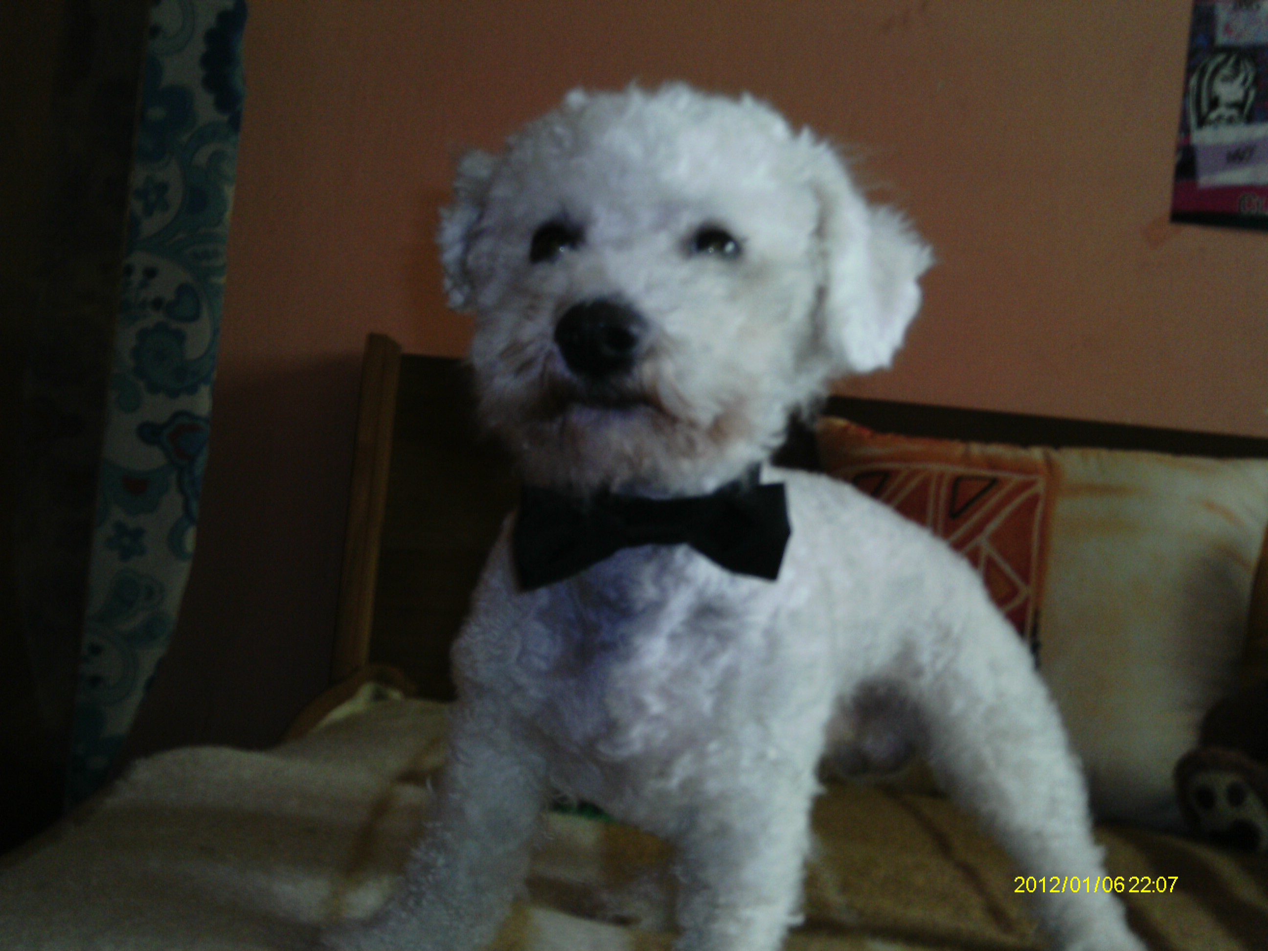 IMAG0039
